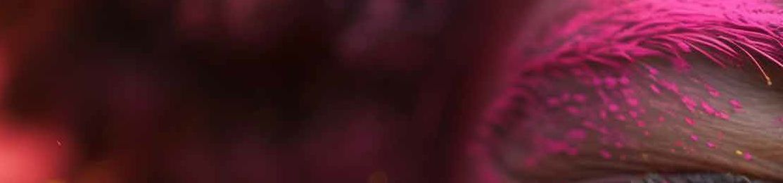 La fête, harmonisation du Vivant